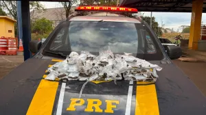 Mulheres s&atilde;o flagradas com drogas presas ao corpo durante fiscaliza&ccedil;&atilde;o da PRF na BR-060