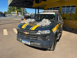PRF apreende 37 kg de haxixe escondidos em tanque de combust&iacute;vel em Morrinhos (GO)