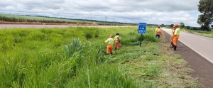 Para combater capim, Rota Verde refor&ccedil;a frentes ro&ccedil;ada
