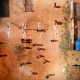 Filme goiano mostra como celular impacta as classes sociais