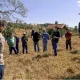 Manejo de pastagem melhora rentabilidade de pecuaristas de Goiás