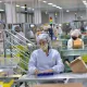 Economia goiana é a segunda que mais cresce no país, em 12 meses