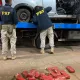 Paraguaio é preso com carregamento de maconha na BR-364