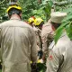 Bombeiros localizam corpo de vítima desaparecida após acidente grave na GO-139, em Bela Vista