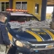 PRF apreende 31 kg de haxixe escondidos em caminhonete na BR-153