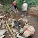 Criança desaparecida em área de mata é encontrada sem vida
