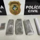 Polícia Civil prende jovem em flagrante por tráfico de drogas