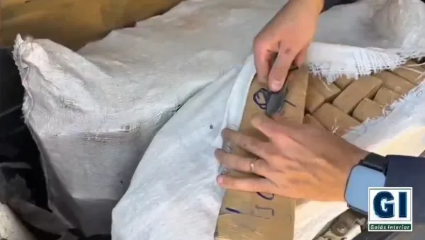 Homem &eacute; preso transportando cerca de 150kg de maconha