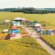 Spaço Agrícola apresenta novas tecnologias e tendências para o campo