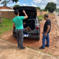 Homem é preso por prática de agressão física, injúria e ameaça contra sua ex