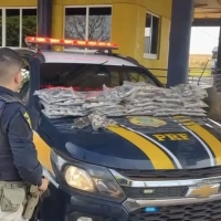 PRF apreende 31 kg de haxixe escondidos em caminhonete na BR-153