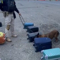 Passageira de ônibus é presa transportando cerca de 22 kg de drogas