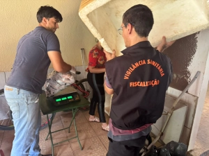 Polícia Civil apreende750kg de peixes impróprios para o consumo em Piracanjuba