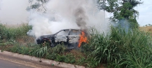 Bombeiros combatem incêndio em veículo na GO-320