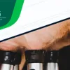 ILC de novembro 2021 apresenta queda nos preços de insumos de alimentação e alta em adubação e combustível