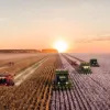 Com alta de 14,6% nas exportações, agro continua sendo destaque