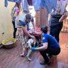 Prisão em flagrante por maus-tratos contra Pitbull