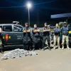 Operação conjunta apreende drogas avaliadas em mais de R$ 4,5 mi