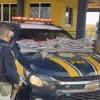 PRF apreende 31 kg de haxixe escondidos em caminhonete na BR-153
