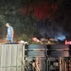 Tragédia na pista: carreta tomba, mata 14 bovinos e fere outros 22