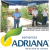 MILHETO: ADR 300, uma arma contra os Nematóides
