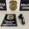 Polícia efetua prisão em flagrante de indivíduo por posse ilegal de arma de fogo