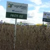 Determinação, garra e profissionalismo são as marcas do Grupo agrofava