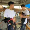 A cidade de Caldas Novas realiza o maior mutirão de castração animal da história