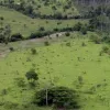 Declaração do Imposto sobre Propriedade Territorial Rural deve ser realizada a partir de 17 de agosto