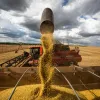 Goiás deve produzir quase 28 milhões de toneladas de grãos na safra 2020/2021