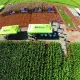Campus Experimental do curso de Engenharia Agronômica recebe segundo dia de campo 2016
