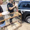 Polícia Civil investiga caso de maus-tratos a animais em Caldas Novas