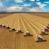 Agronegócio é responsável por 81% das exportações goianas de janeiro a junho de 2021