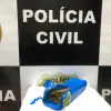 GENARC faz nova apreensão de drogas